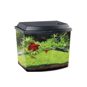 Haquoss Blu 3.8