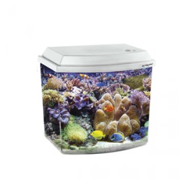 HAQUOSS BLU 3.8 BIANCO - 21,6x15,6x20,8h cm - 3,8lt