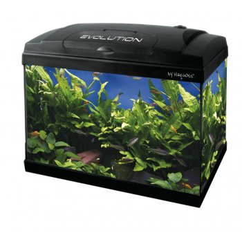 HAQUOSS EVOLUTION 50 STARDUST LED STARTER - 50x30x44h cm - 46lt