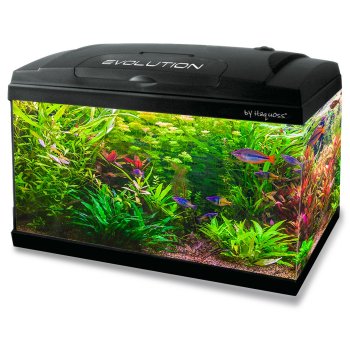 HAQUOSS EVOLUTION 80 STARDUST LED - 80x30x50h cm - 79lt