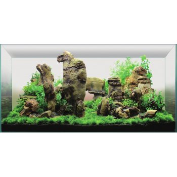 LANDSCAPE ASIA - PER ACQUARI DA 90x50 A 120X50