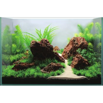 LANDSCAPE TROPIC - PER ACQUARI DA 60X40 A 80X45