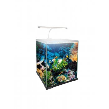 HAQUOSS STARDUST LED SYSTEM - ICEWHITE 4,5 WATT
