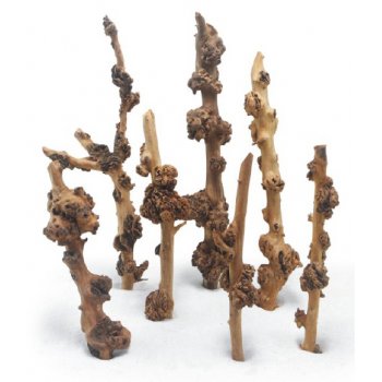 HAQUOSS SAVANA WOOD, radice naturale per acquario