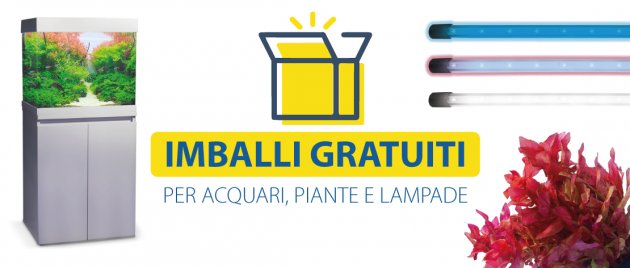 2 - Imballi Gratuiti